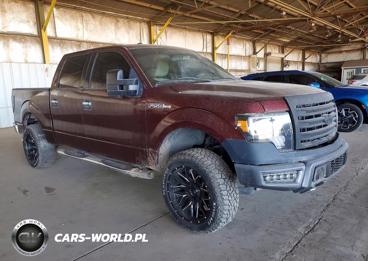 2009 Ford F150 Supercrew VIN:1FTPW14VX9FA87098 - 4