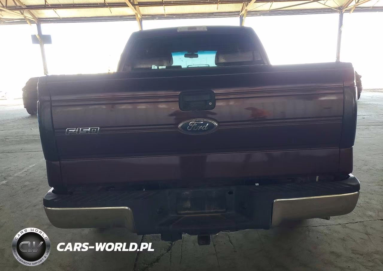 2009 Ford F150 Supercrew VIN:1FTPW14VX9FA87098 - 6