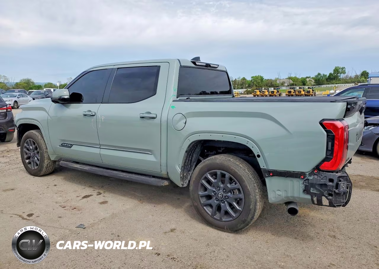 2025 Toyota Tundra Platinum VIN:5TFNA5DB8SX238653 - 2