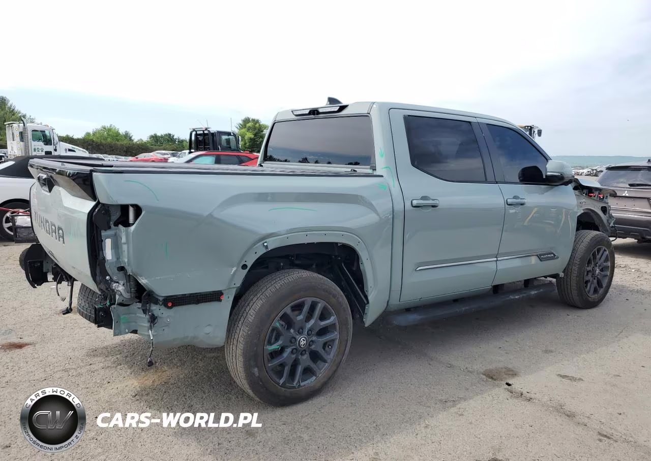 2025 Toyota Tundra Platinum VIN:5TFNA5DB8SX238653 - 3