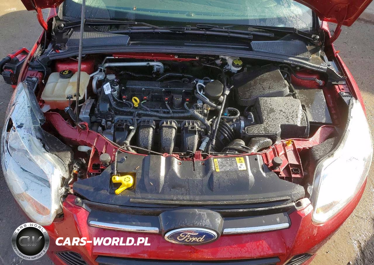 2014 Ford Focus Se VIN:1FADP3F2XEL399065 - 11