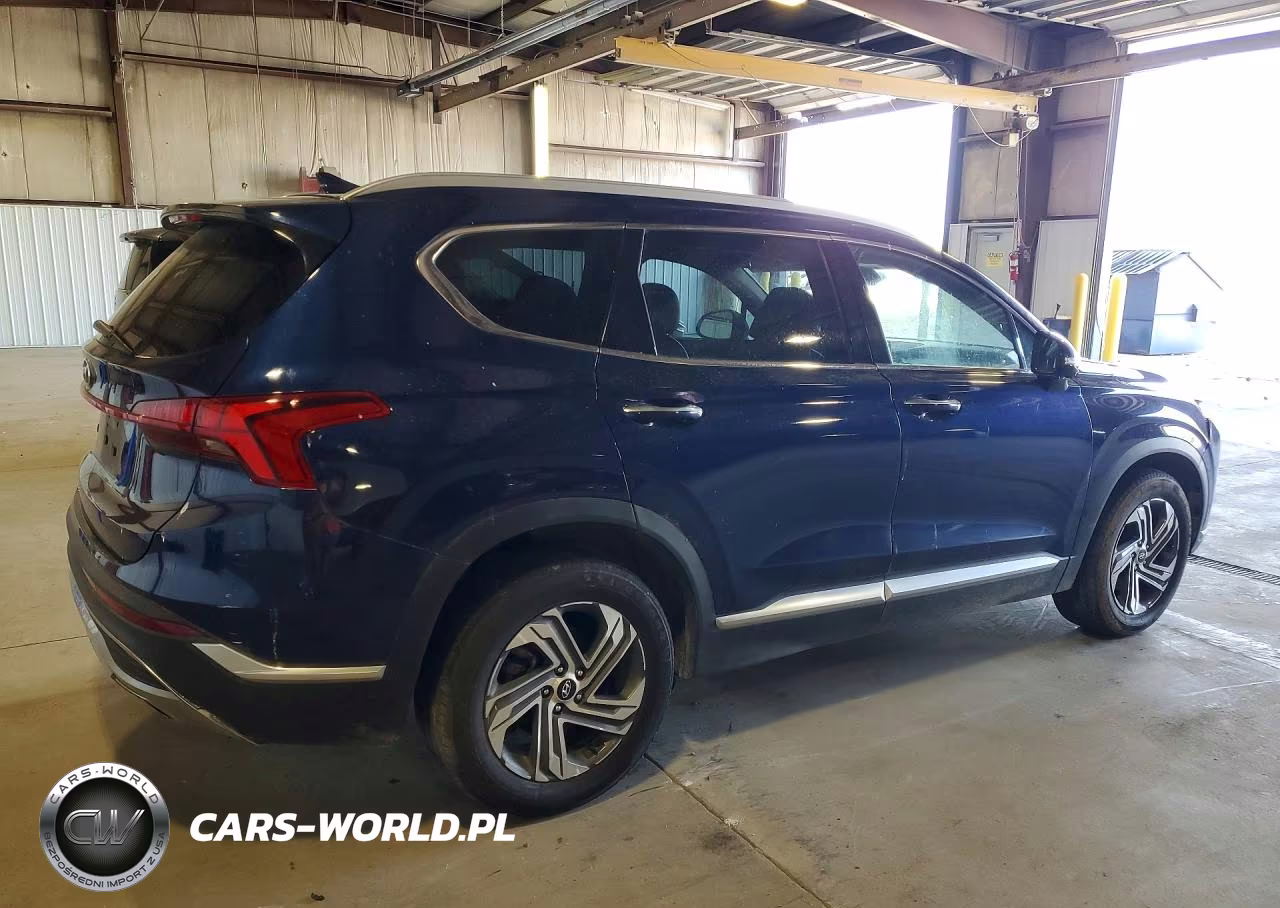 2023 Hyundai Santa Fe Sel Premium VIN:5NMS34AJ7PH516297 - 3