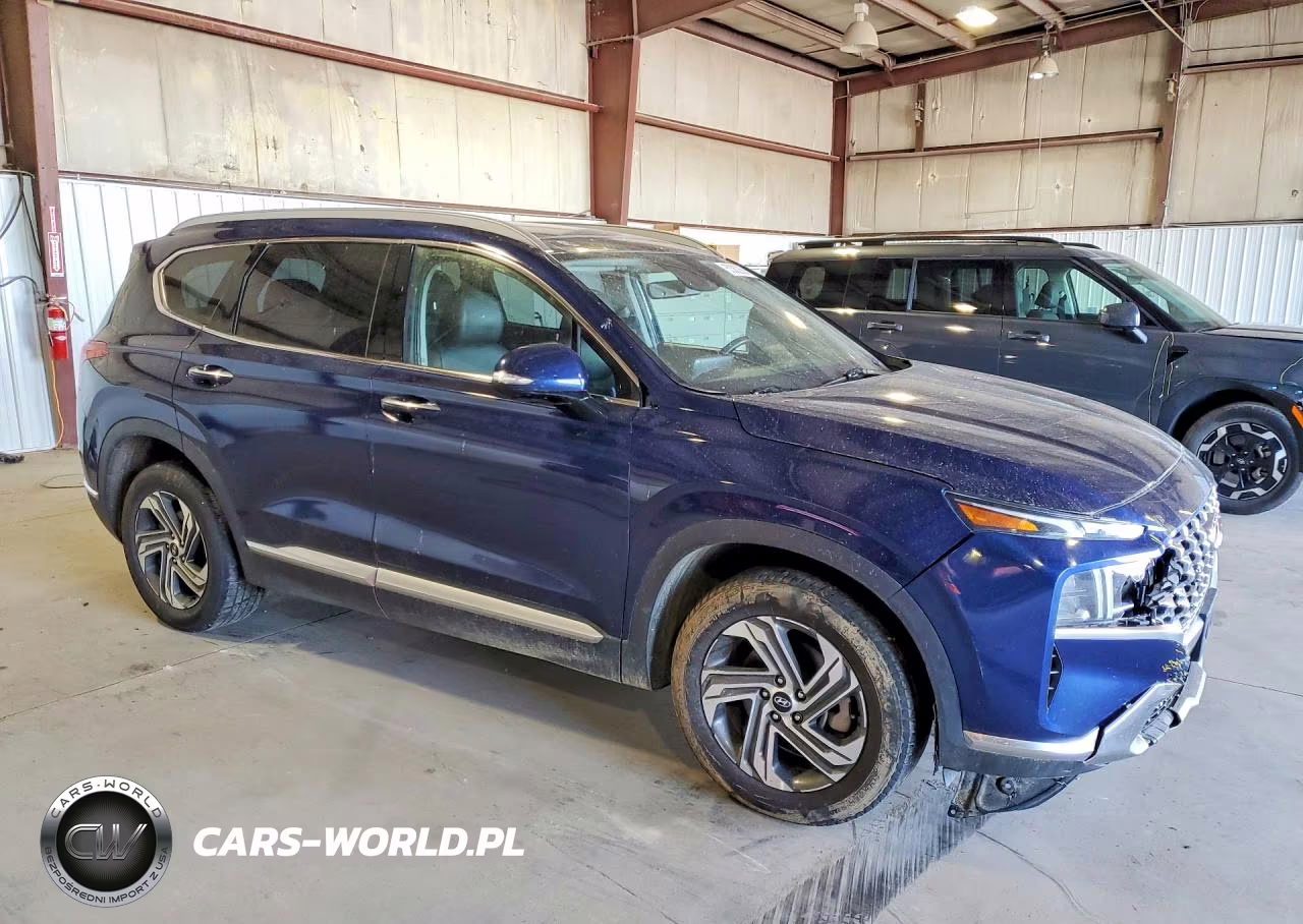 2023 Hyundai Santa Fe Sel Premium VIN:5NMS34AJ7PH516297 - 4