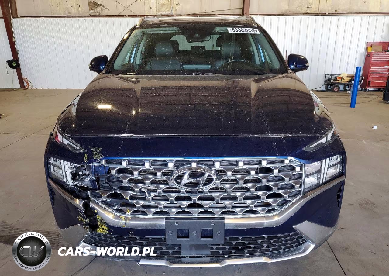 2023 Hyundai Santa Fe Sel Premium VIN:5NMS34AJ7PH516297 - 5