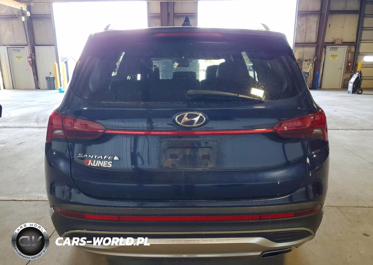 2023 Hyundai Santa Fe Sel Premium VIN:5NMS34AJ7PH516297 - 6