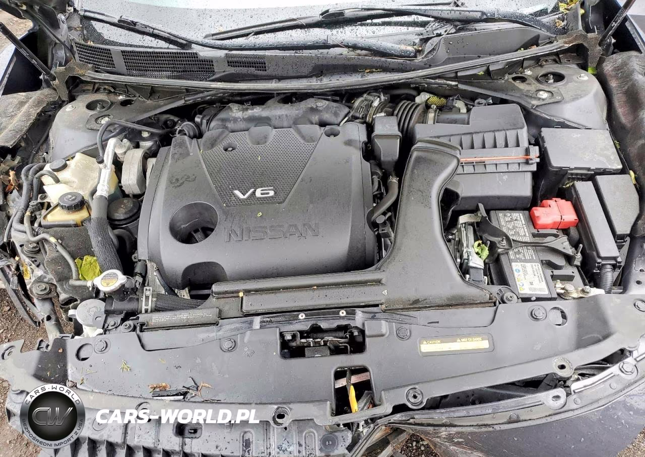 2021 Nissan Maxima Platinum VIN:1N4AA6FVXMC503830 - 11
