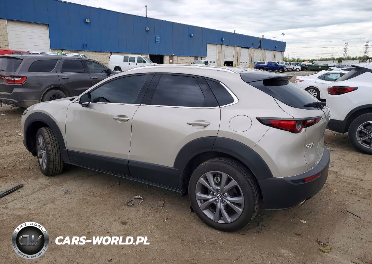 2024 Mazda Cx-30 Premium VIN:3MVDMBDM4RM692481 - 2