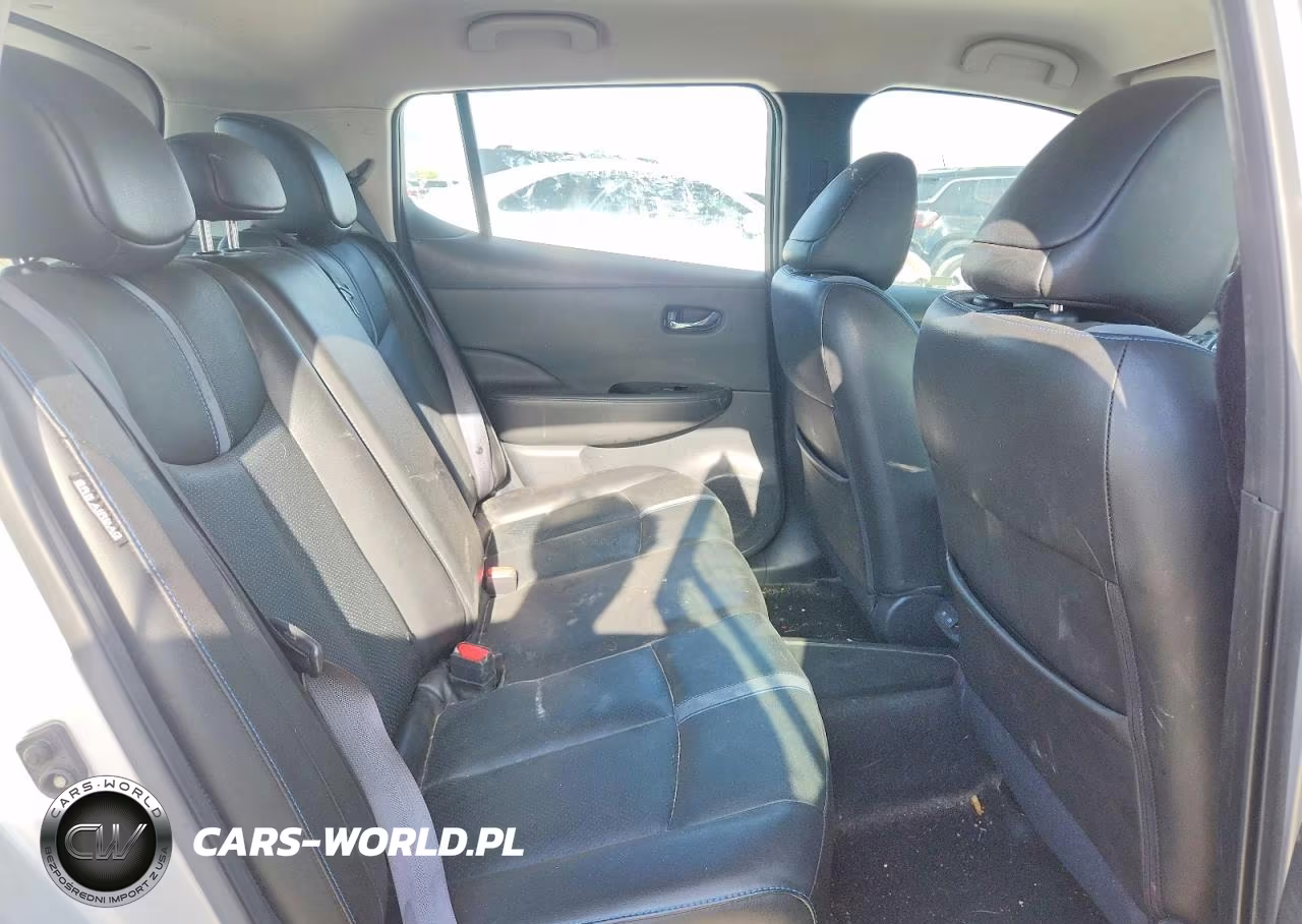 2020 Nissan Leaf Sl Plus VIN:1N4BZ1DP2LC305584 - 10