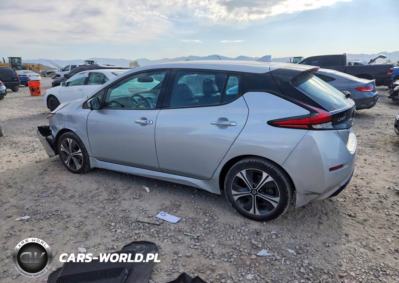 2020 Nissan Leaf Sl Plus VIN:1N4BZ1DP2LC305584 - 2