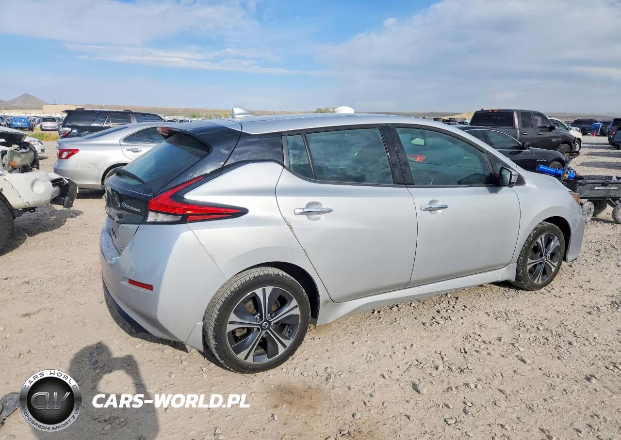 2020 Nissan Leaf Sl Plus VIN:1N4BZ1DP2LC305584 - 3