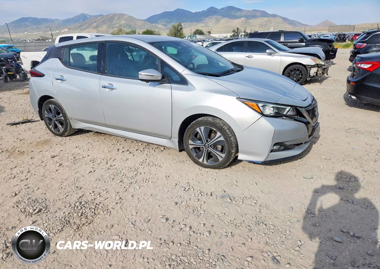 2020 Nissan Leaf Sl Plus VIN:1N4BZ1DP2LC305584 - 4