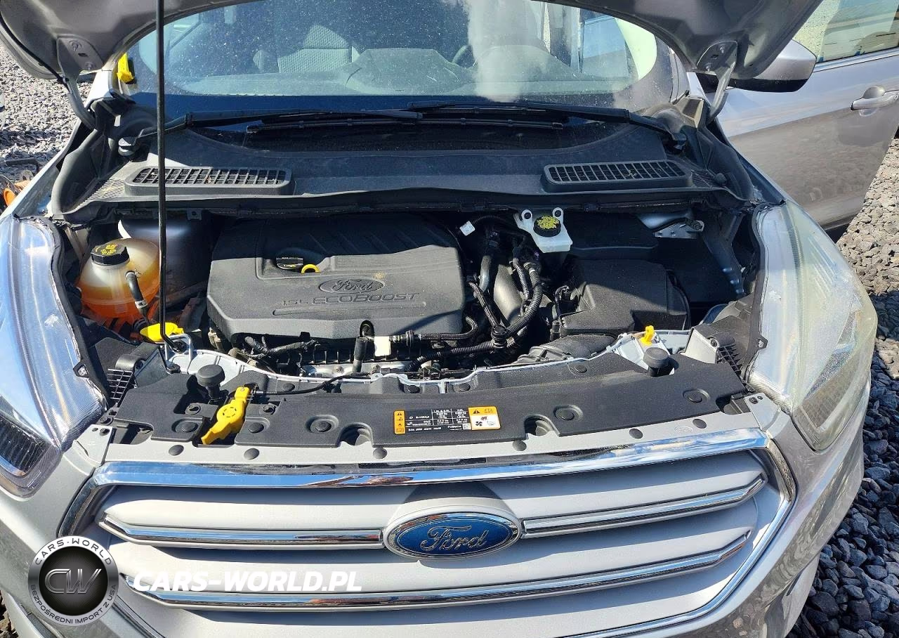 2017 Ford Escape Se VIN:1FMCU0GD1HUA12376 - 11