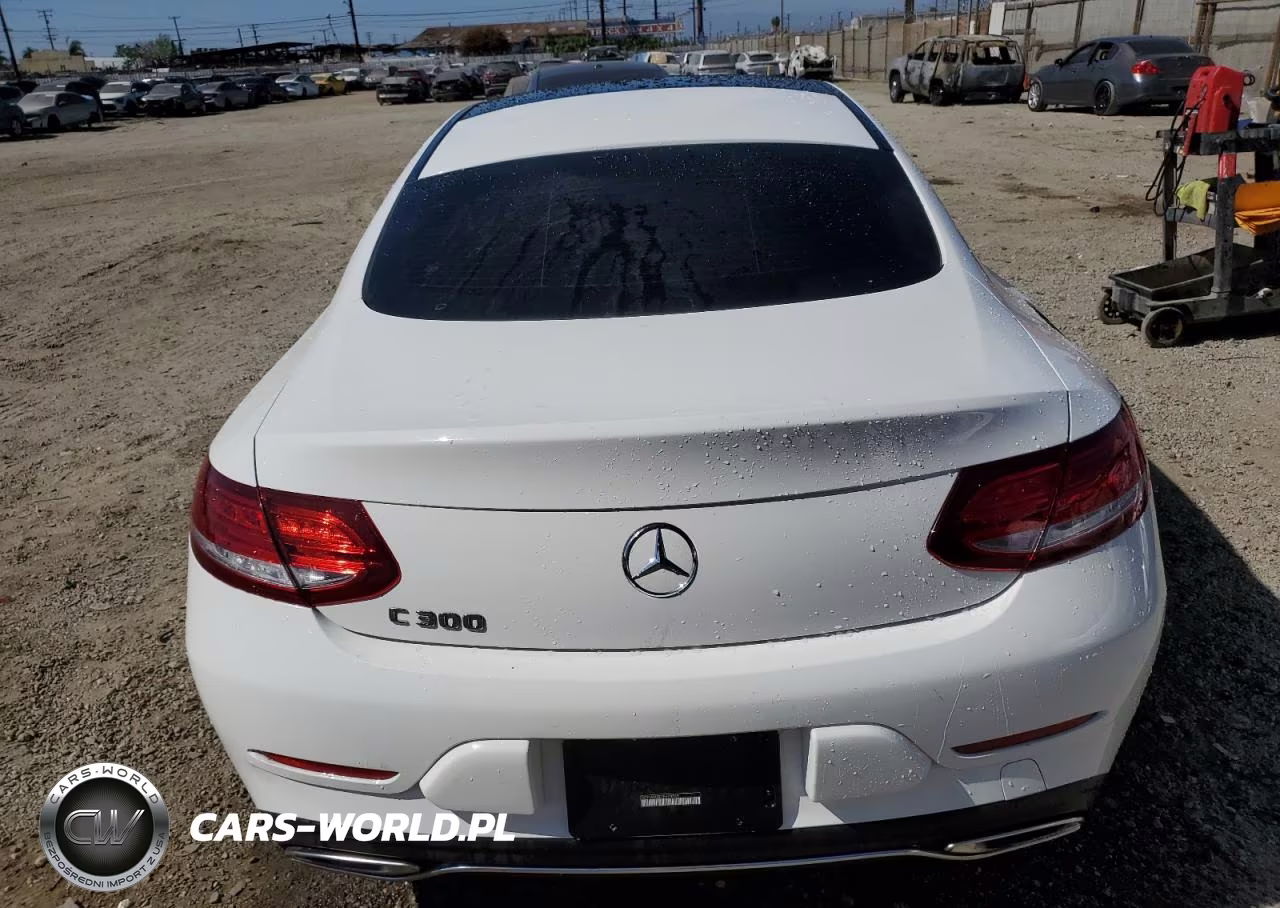 2018 Mercedes-Benz C 300 VIN:WDDWJ4JB2JF624045 - 6