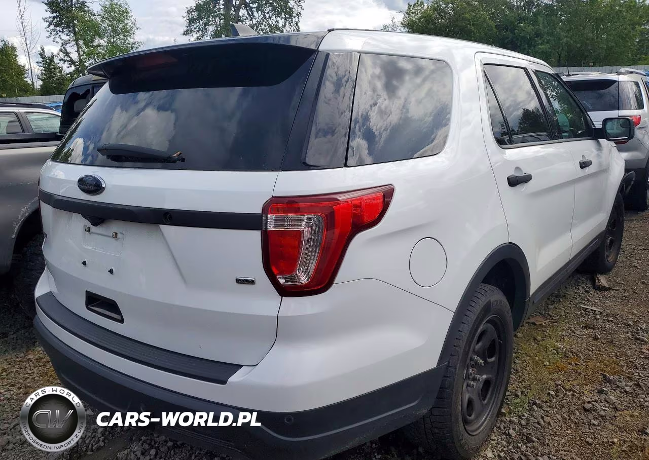 2018 Ford Explorer Police Interceptor VIN:1FM5K8AR0JGC19248 - 3