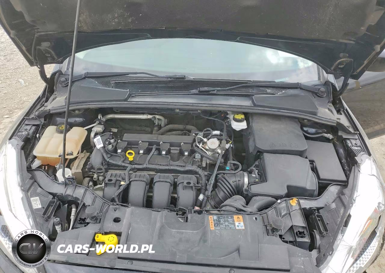 2018 Ford Focus Se VIN:1FADP3K2XJL288564 - 12