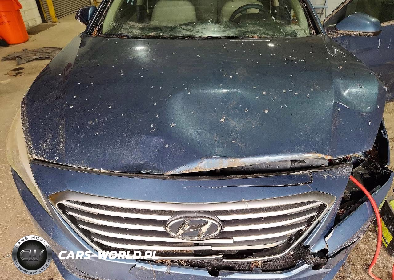 2015 Hyundai Sonata Se VIN:5NPE24AF1FH223279 - 11
