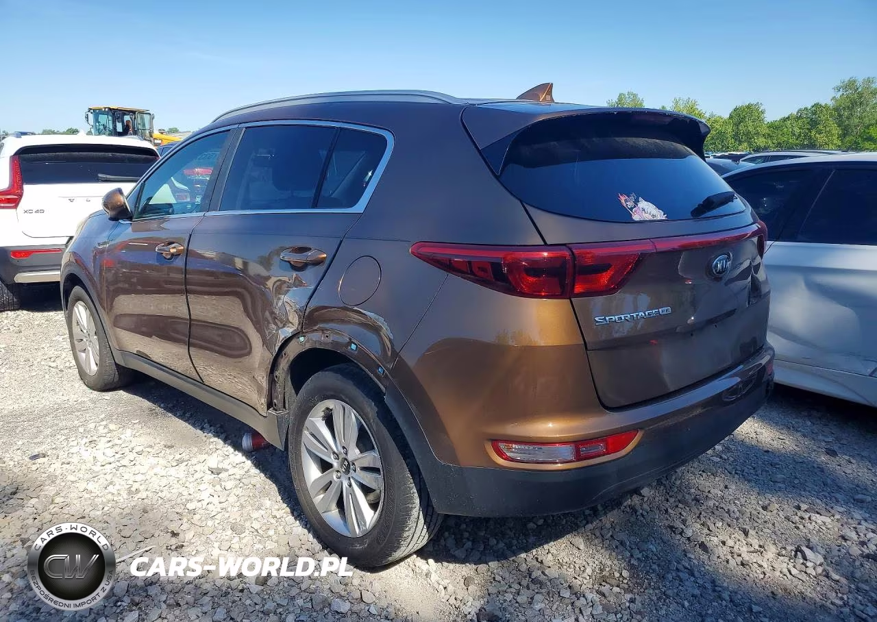 2017 Kia Sportage Lx VIN:KNDPM3AC5H7232531 - 2
