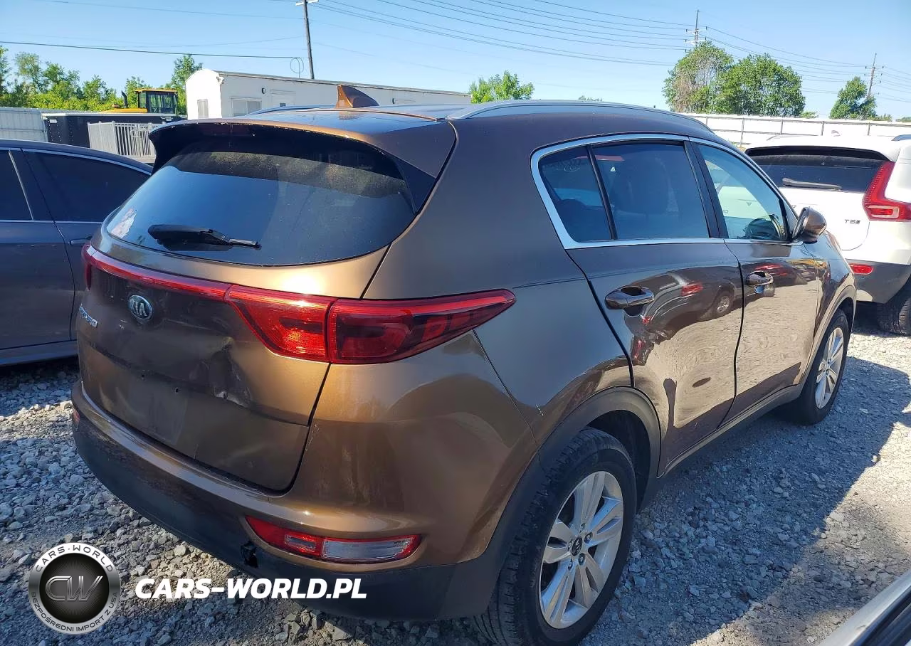 2017 Kia Sportage Lx VIN:KNDPM3AC5H7232531 - 3