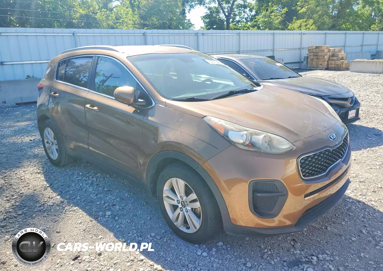 2017 Kia Sportage Lx VIN:KNDPM3AC5H7232531 - 4