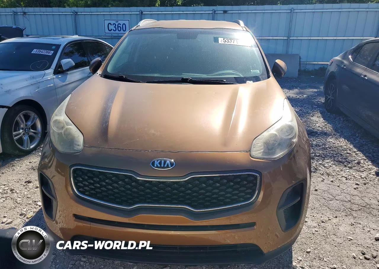 2017 Kia Sportage Lx VIN:KNDPM3AC5H7232531 - 5