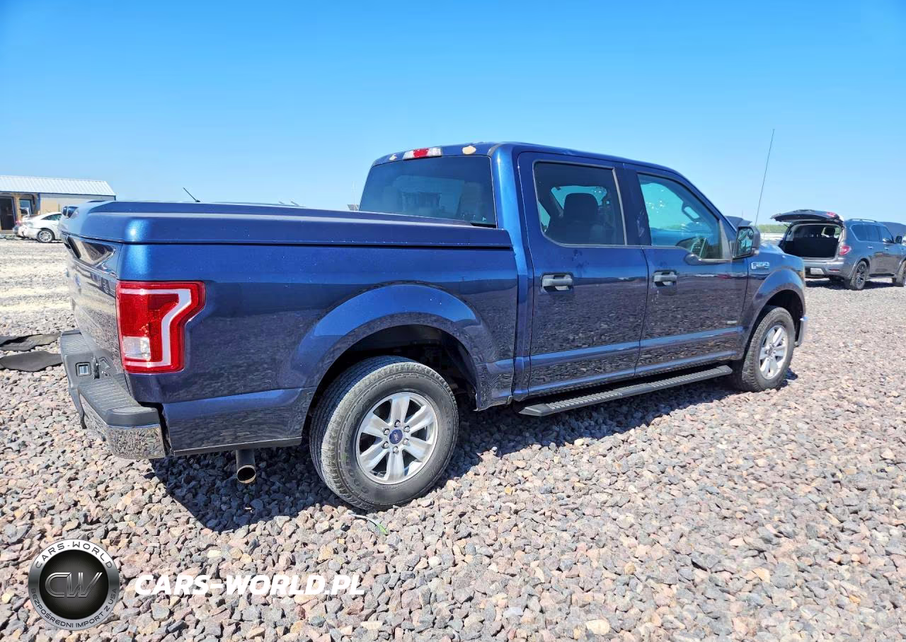 2016 Ford F150 Supercrew VIN:1FTEW1CP8GKE26553 - 3