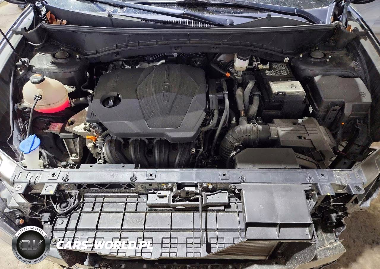 2023 Hyundai Tucson Sel VIN:5NMJBCAE5PH253948 - 12