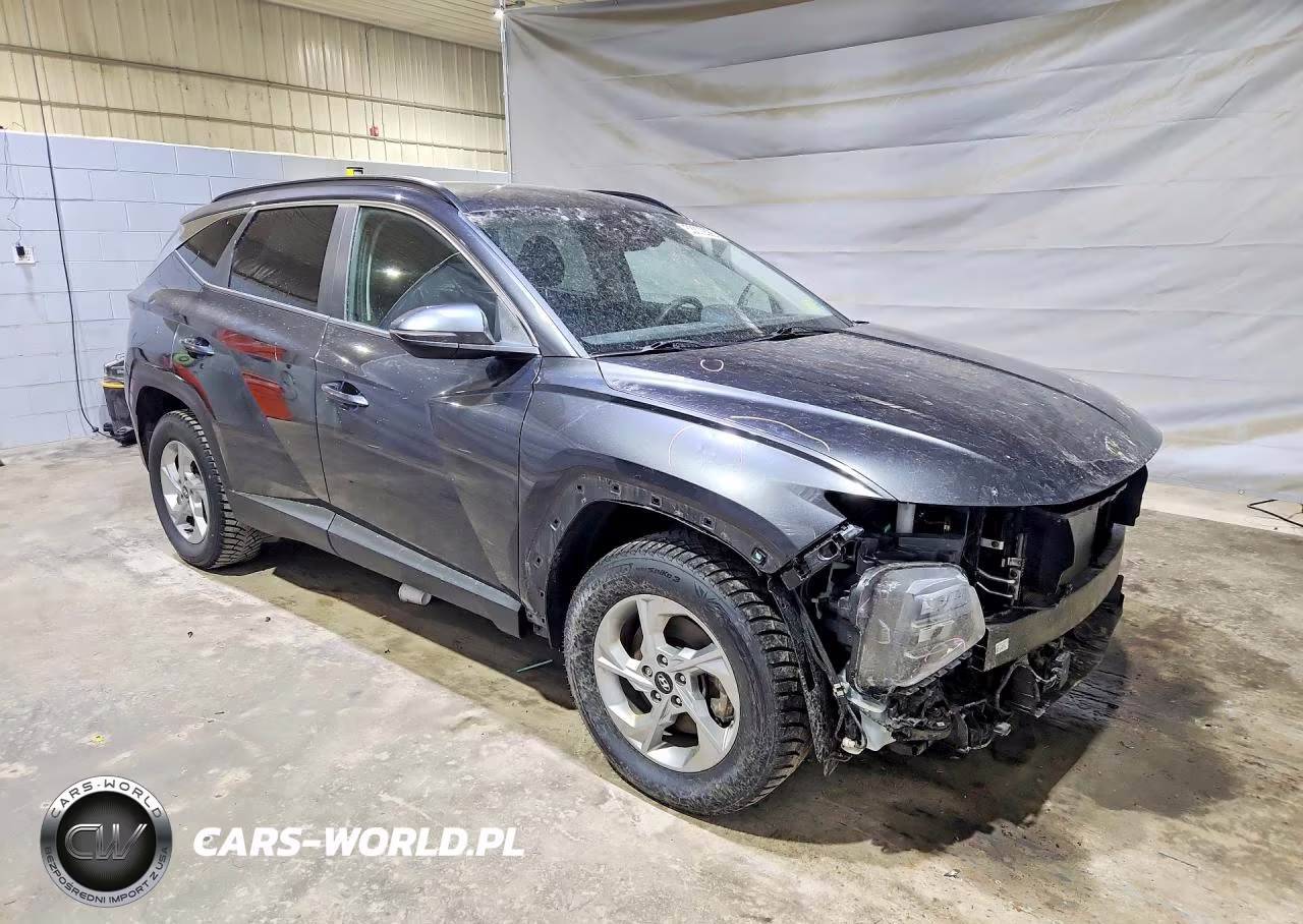 2023 Hyundai Tucson Sel VIN:5NMJBCAE5PH253948 - 4