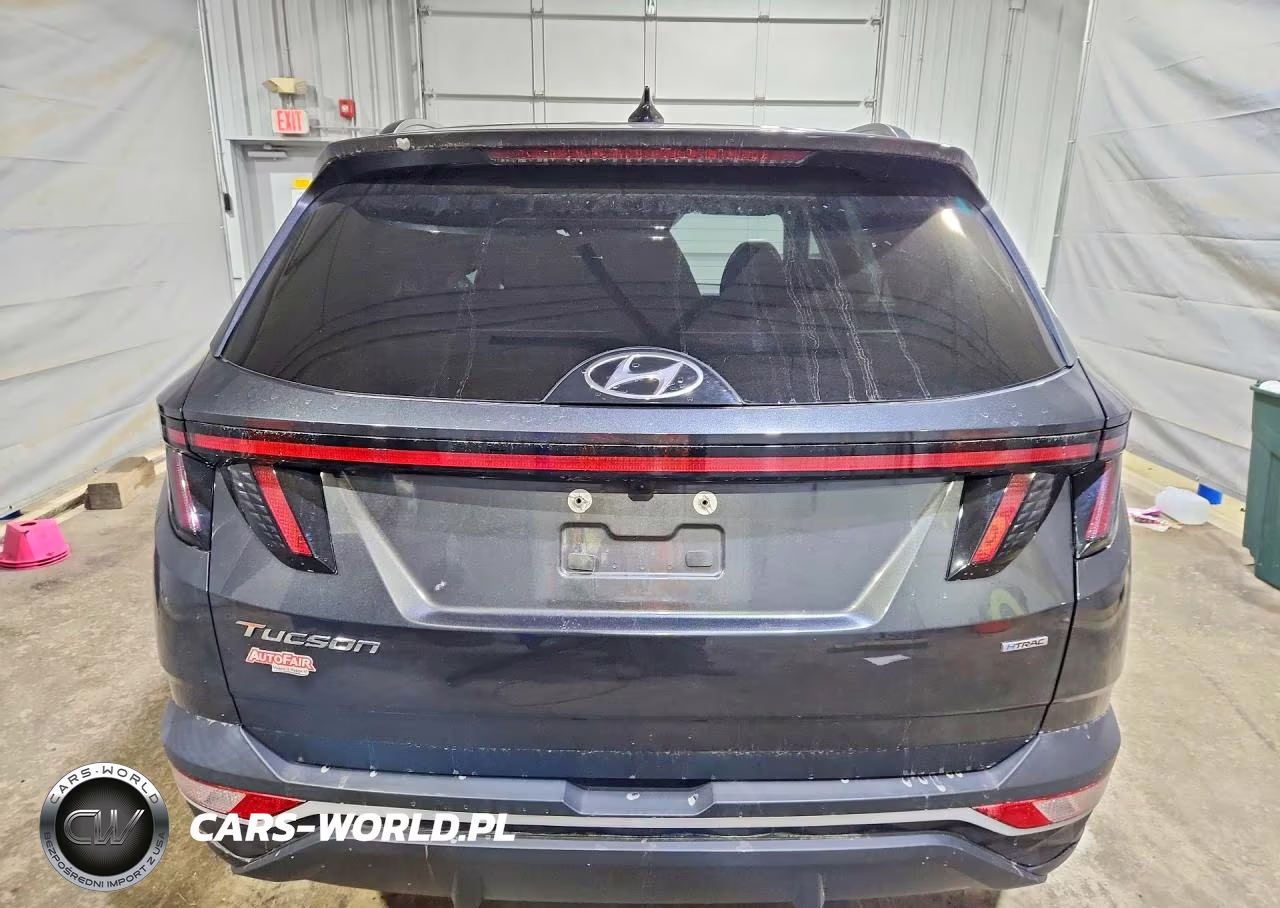 2023 Hyundai Tucson Sel VIN:5NMJBCAE5PH253948 - 6