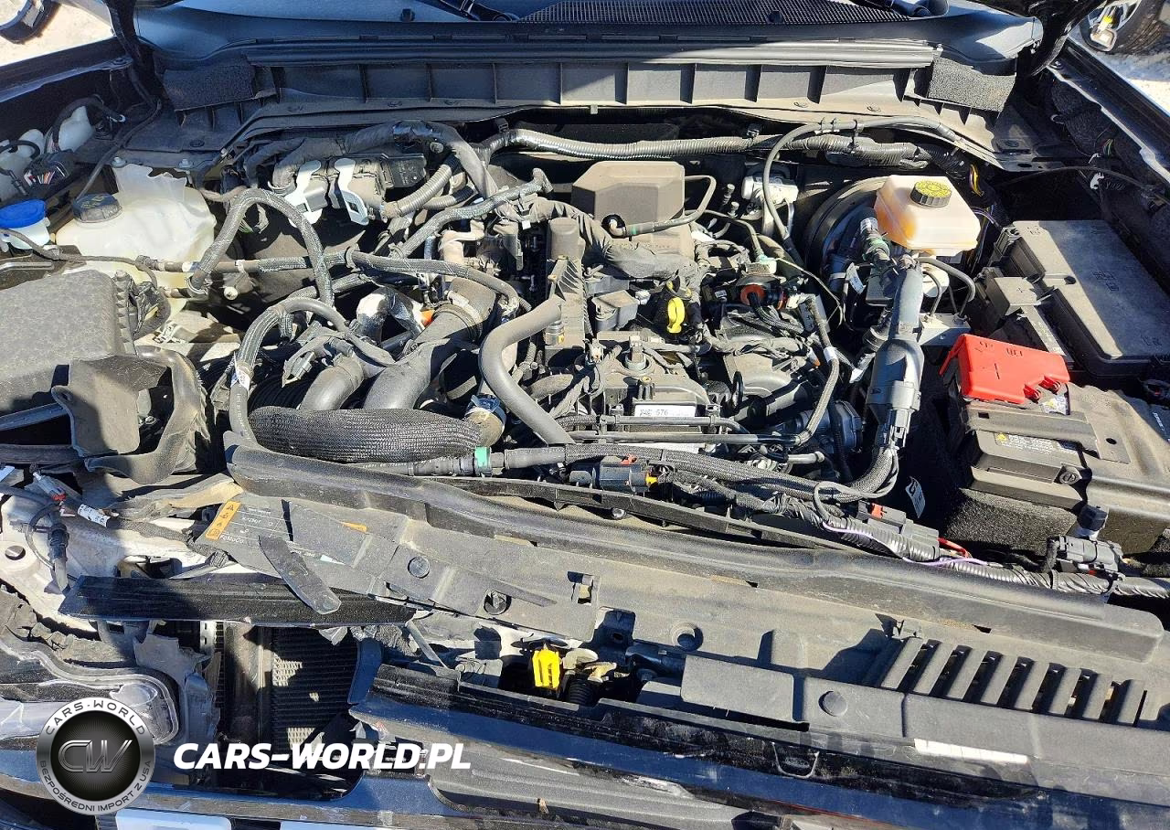 2024 Ford Bronco Outer Banks VIN:1FMDE8BH8RLA81261 - 11