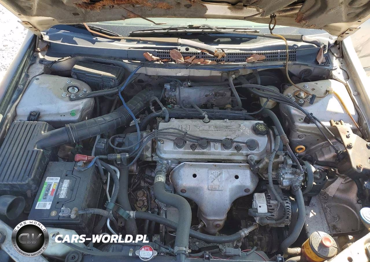 1999 Honda Accord Lx VIN:1HGCG6656XA112810 - 11