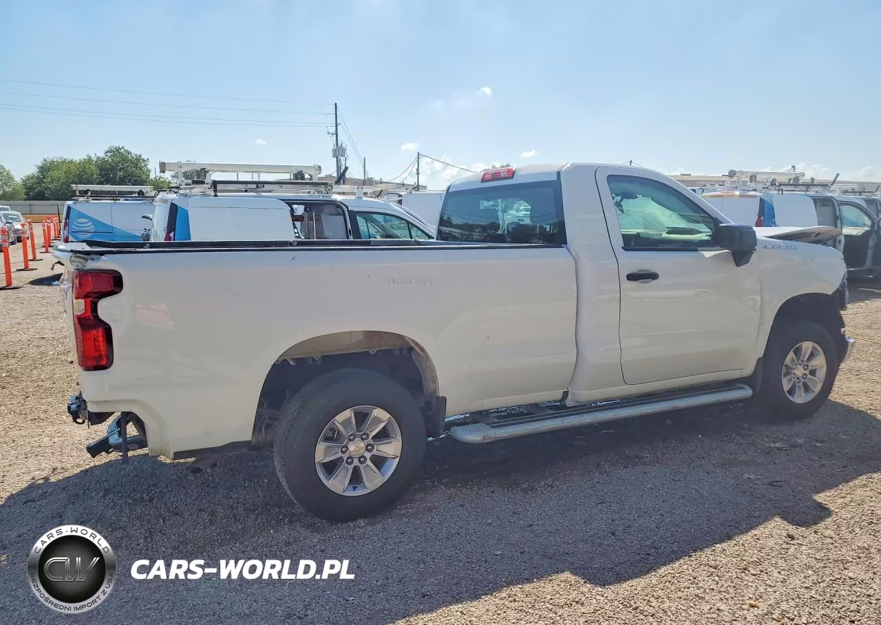 2025 Chevrolet Silverado C1500 VIN:3GCNAAED3SG325387 - 3