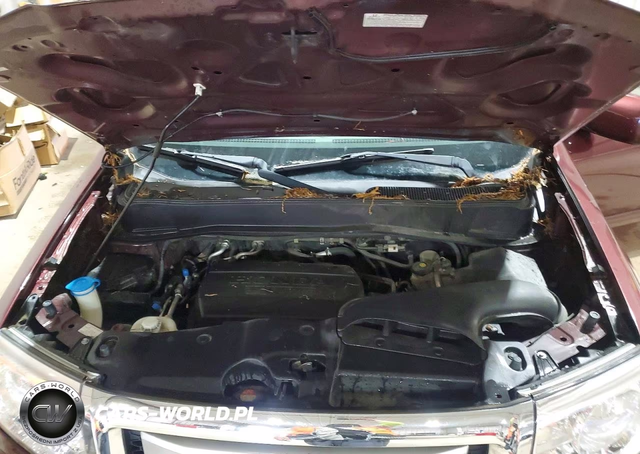 2011 Honda Pilot Ex VIN:5FNYF4H48BB039598 - 11