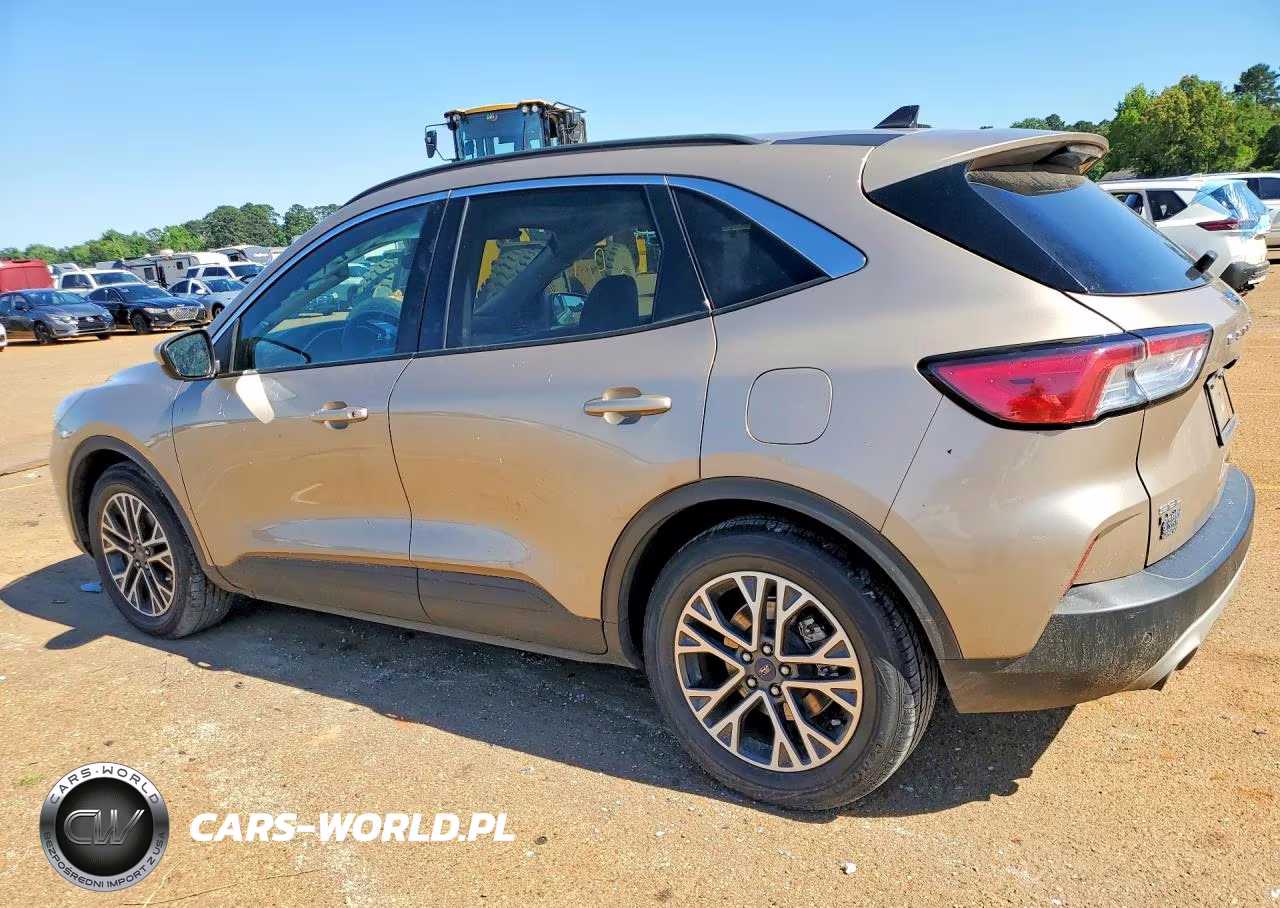 2020 Ford Escape Sel VIN:1FMCU0H65LUC24206 - 2