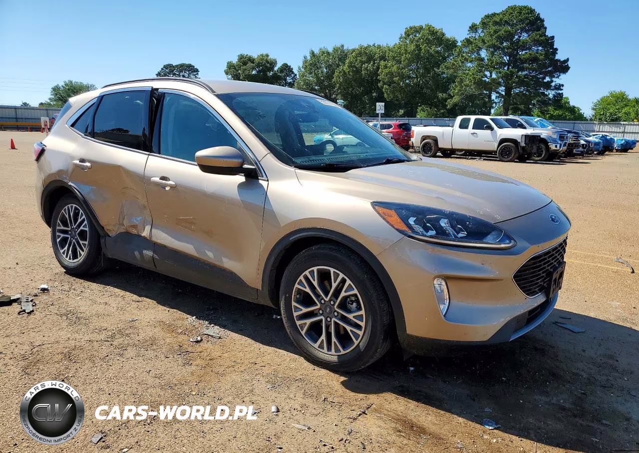 2020 Ford Escape Sel VIN:1FMCU0H65LUC24206 - 4