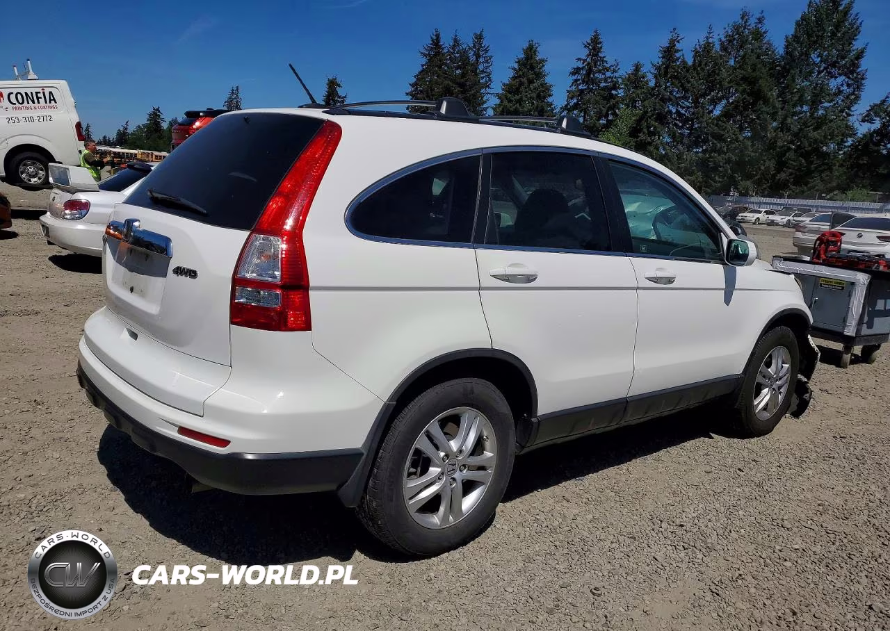 2010 Honda Cr-V Exl VIN:5J6RE4H71AL024061 - 3