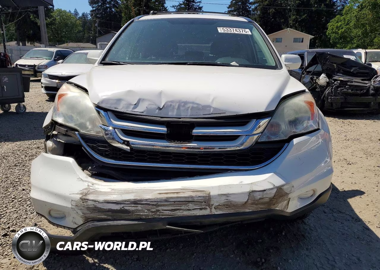 2010 Honda Cr-V Exl VIN:5J6RE4H71AL024061 - 5