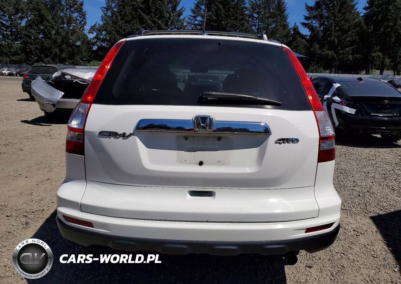 2010 Honda Cr-V Exl VIN:5J6RE4H71AL024061 - 6