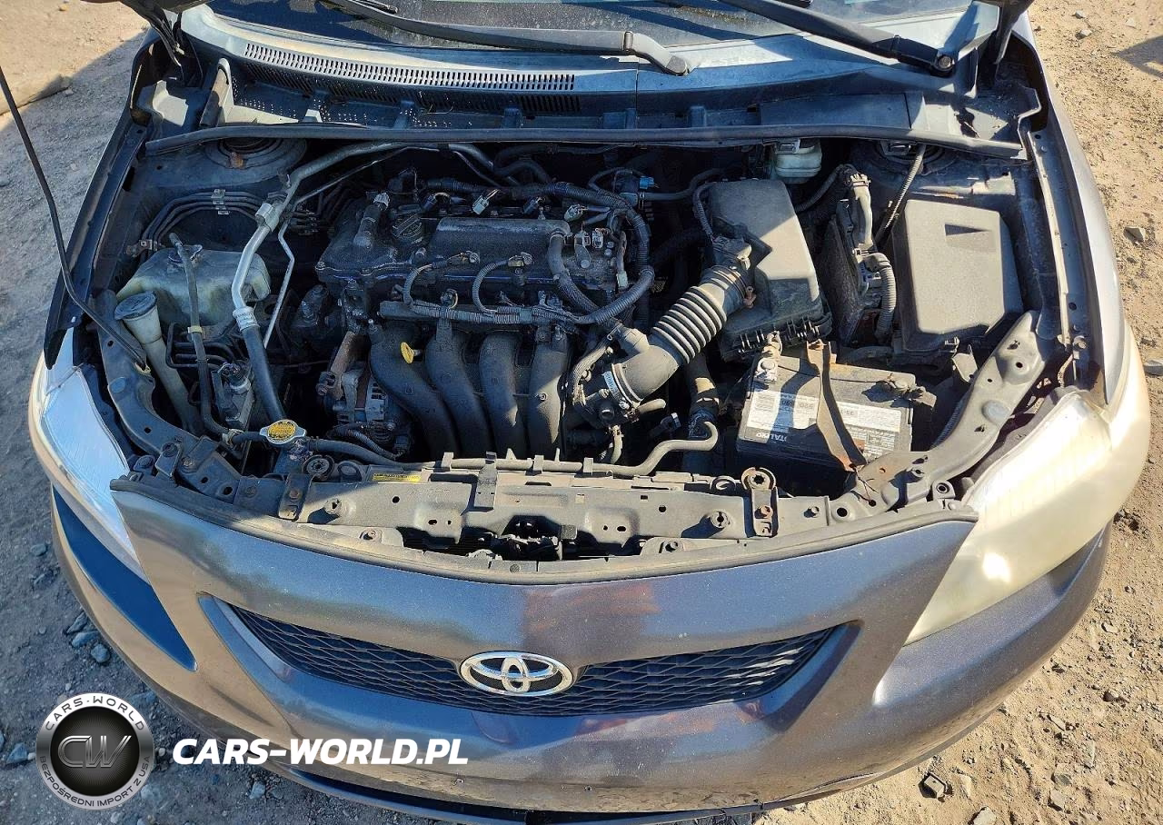 2010 Toyota Corolla Le VIN:2T1BU4EE0AC317826 - 11