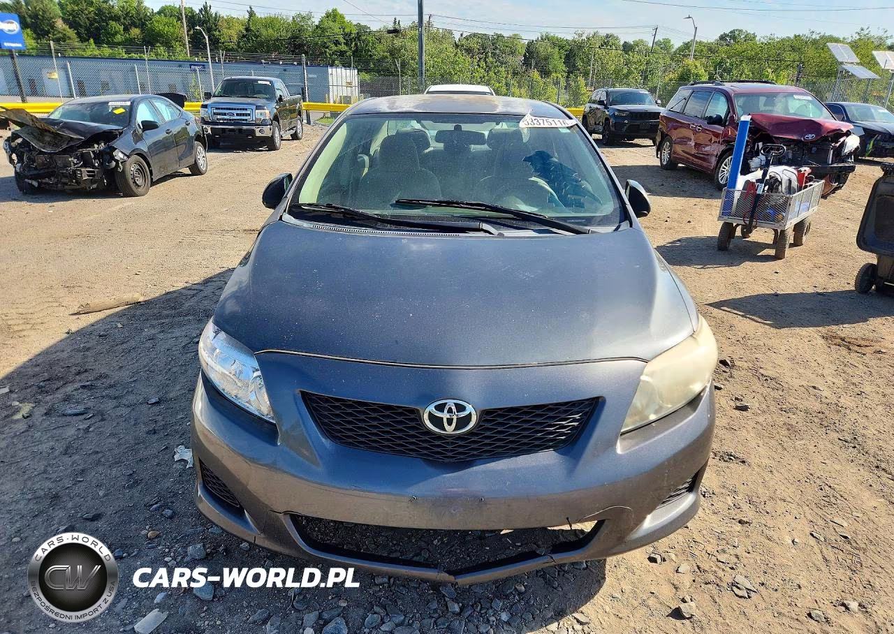 2010 Toyota Corolla Le VIN:2T1BU4EE0AC317826 - 5