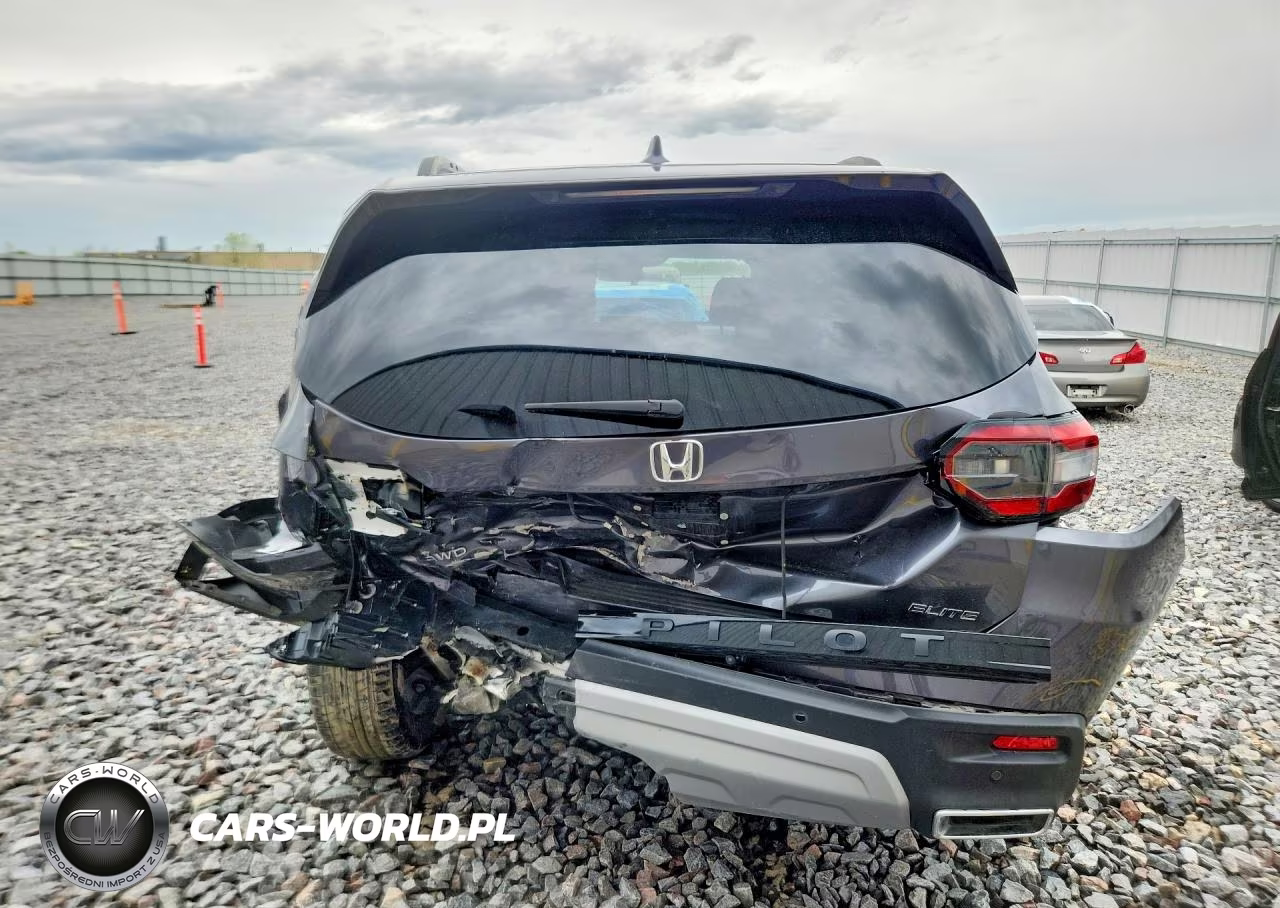 2023 Honda Pilot Elite VIN:5FNYG1H88PB038103 - 6
