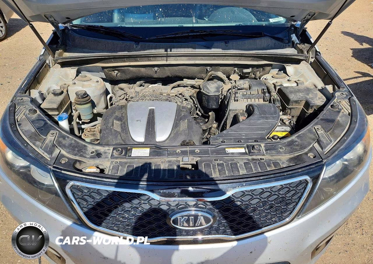 2011 Kia Sorento Sx VIN:5XYKWDA27BG096284 - 12