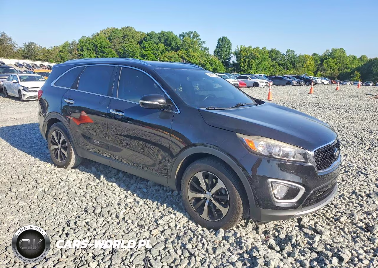 2016 Kia Sorento Ex VIN:5XYPH4A19GG155138 - 4
