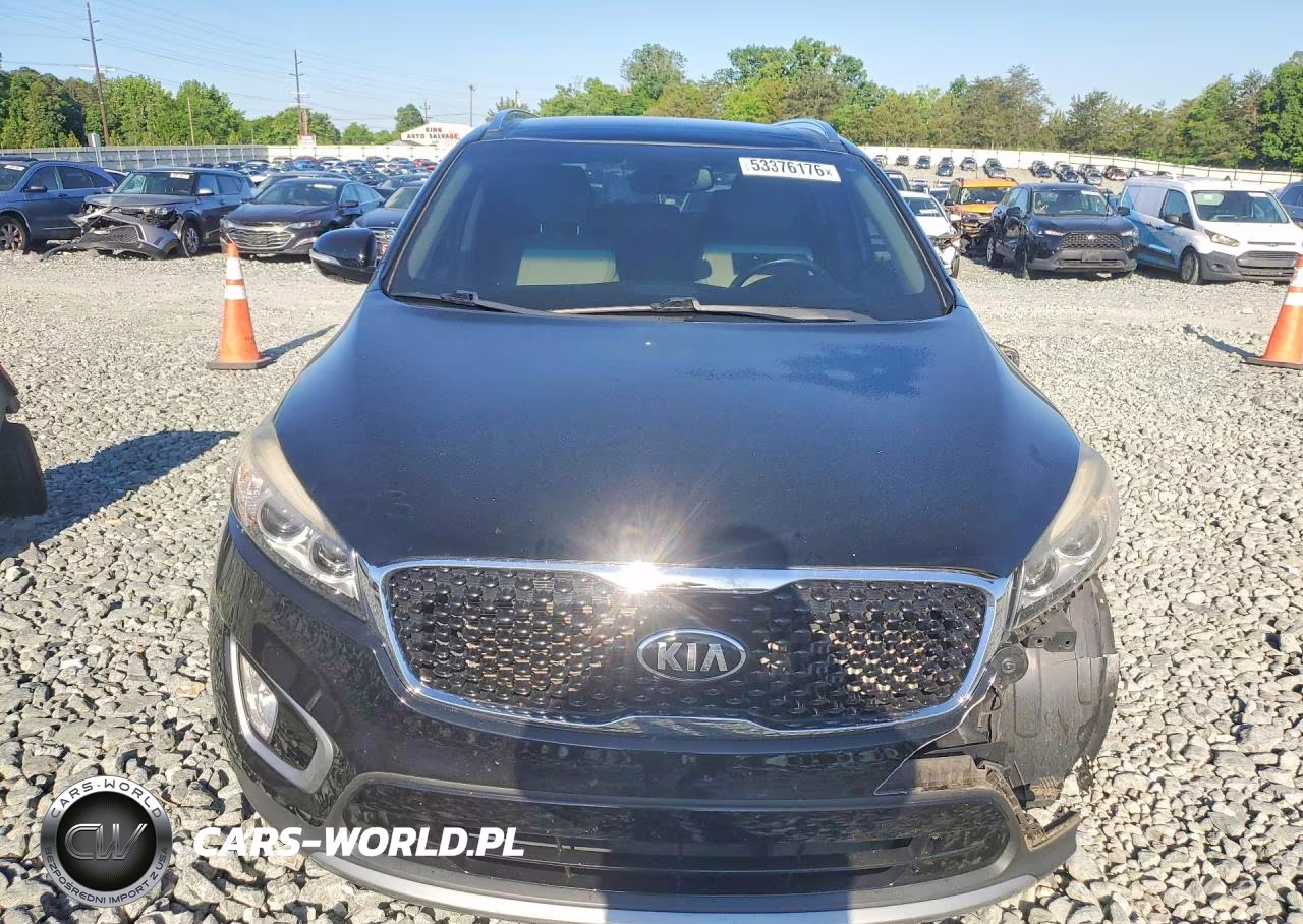 2016 Kia Sorento Ex VIN:5XYPH4A19GG155138 - 5