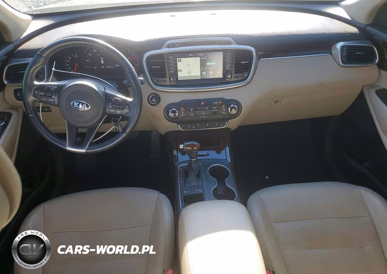 2016 Kia Sorento Ex VIN:5XYPH4A19GG155138 - 8
