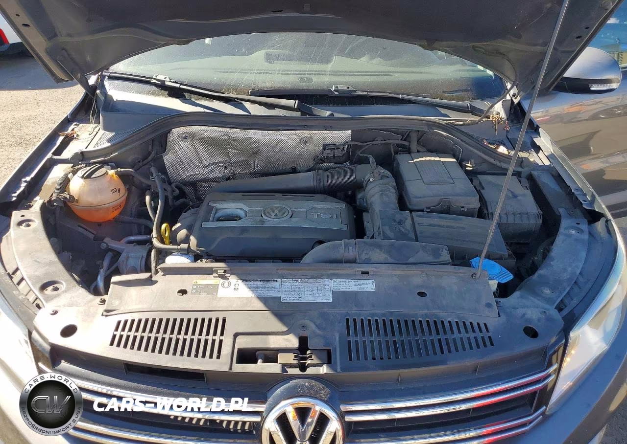 2017 Volkswagen Tiguan S VIN:WVGAV7AXXHK030001 - 12