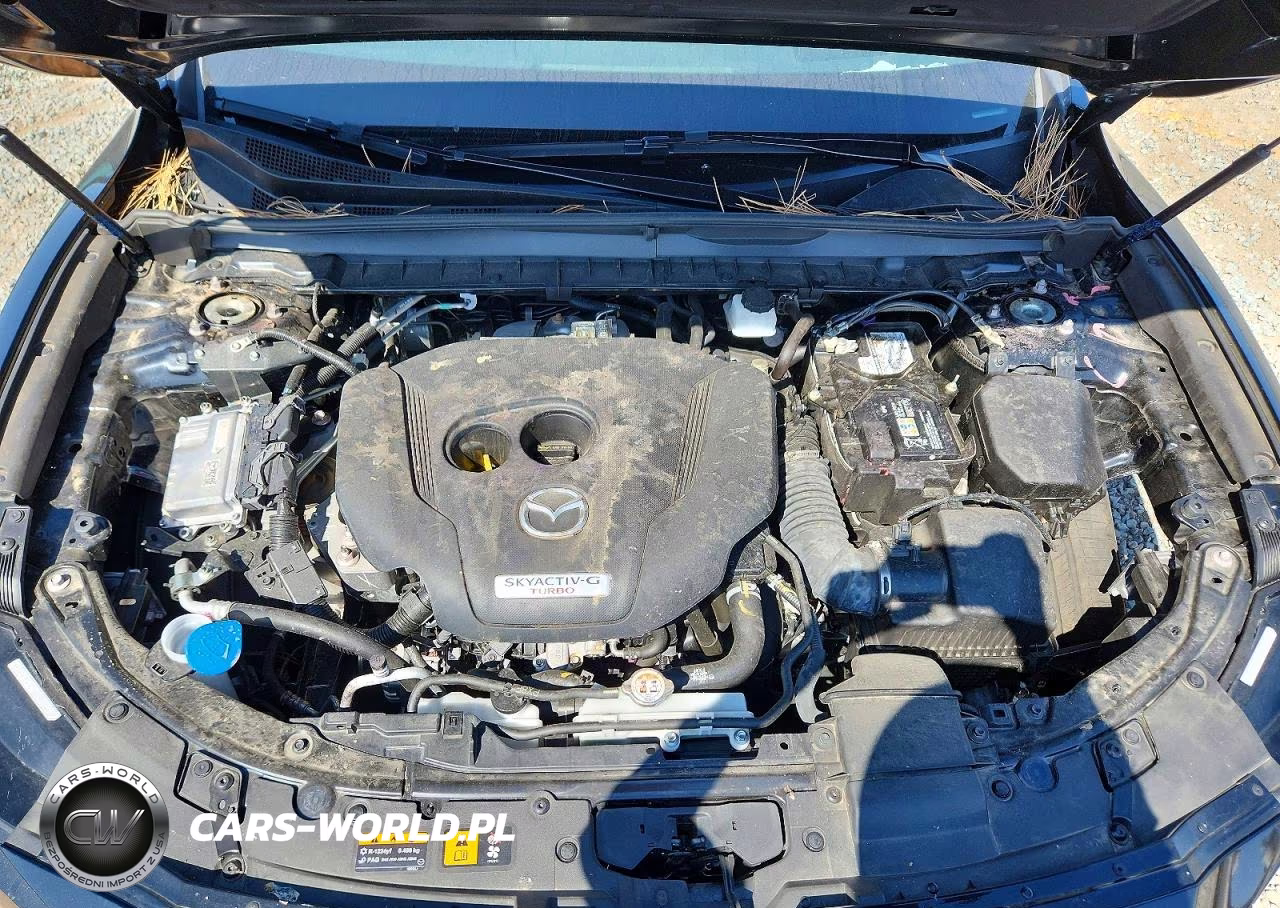 2024 Mazda Cx-50 Premium Plus VIN:7MMVABEY5RN233028 - 12