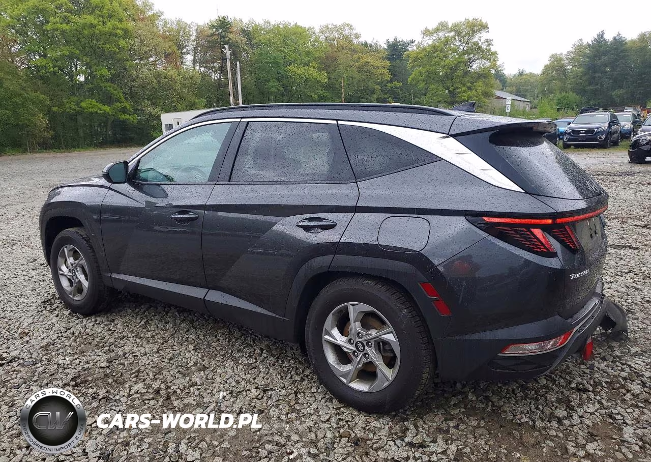 2023 Hyundai Tucson Sel VIN:5NMJBCAE5PH180337 - 2