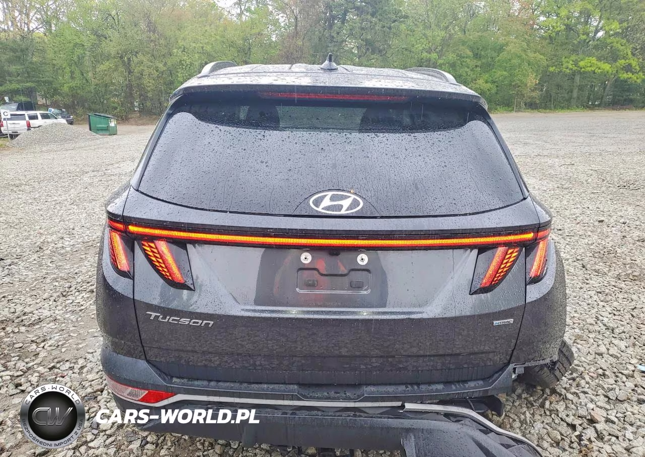 2023 Hyundai Tucson Sel VIN:5NMJBCAE5PH180337 - 6