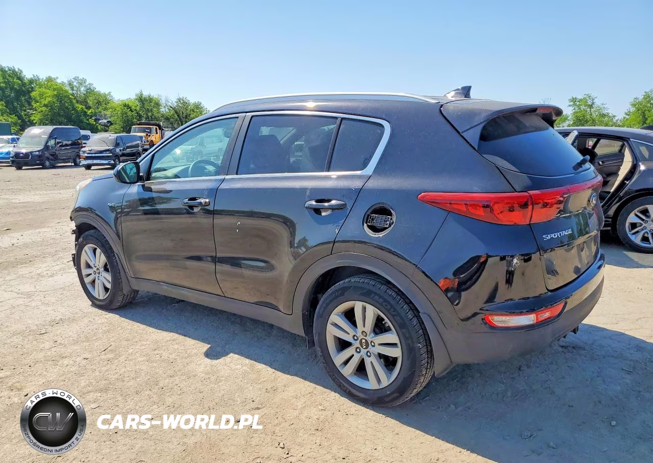 2019 Kia Sportage Lx VIN:KNDPMCAC0K7555182 - 2