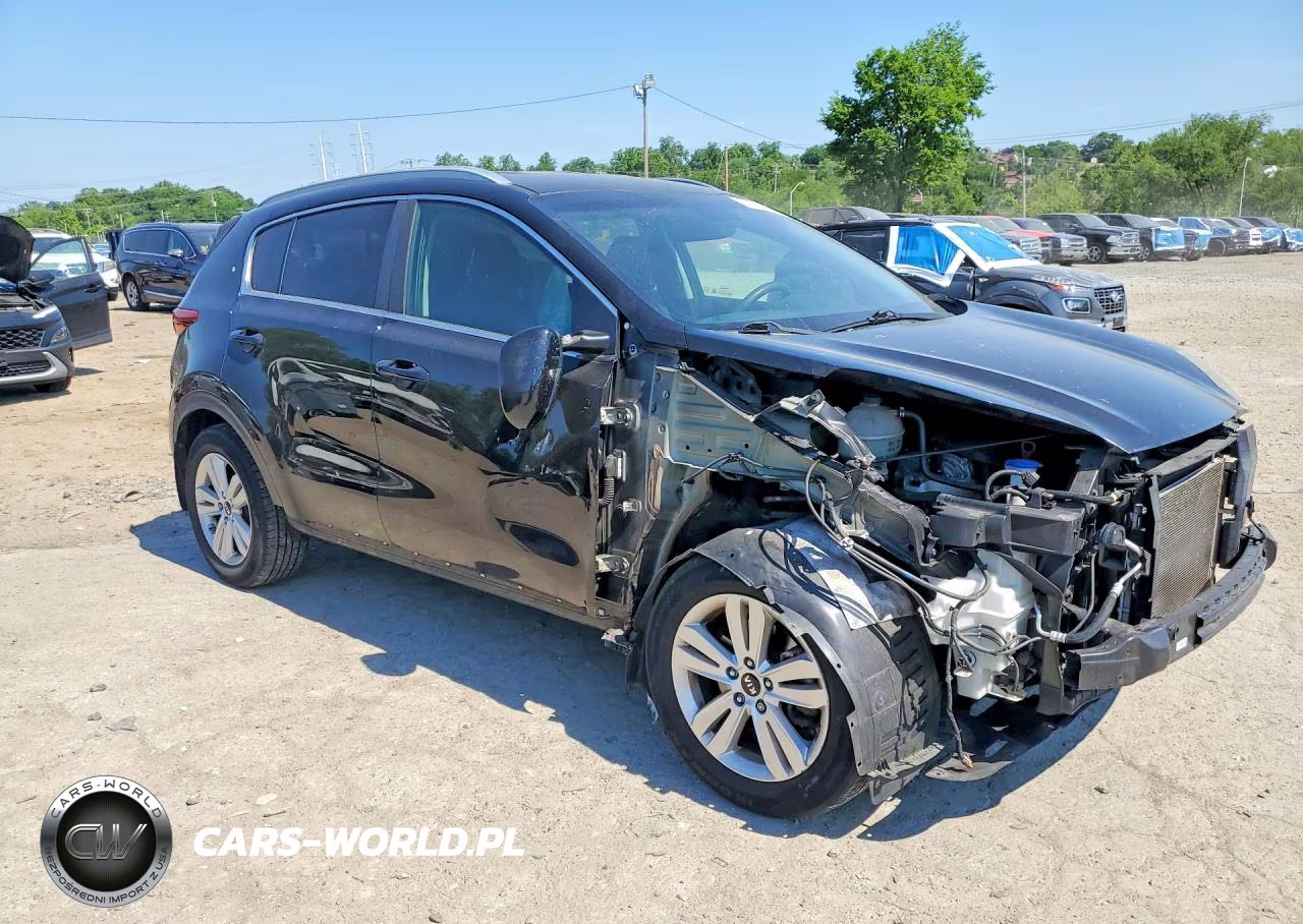 2019 Kia Sportage Lx VIN:KNDPMCAC0K7555182 - 4